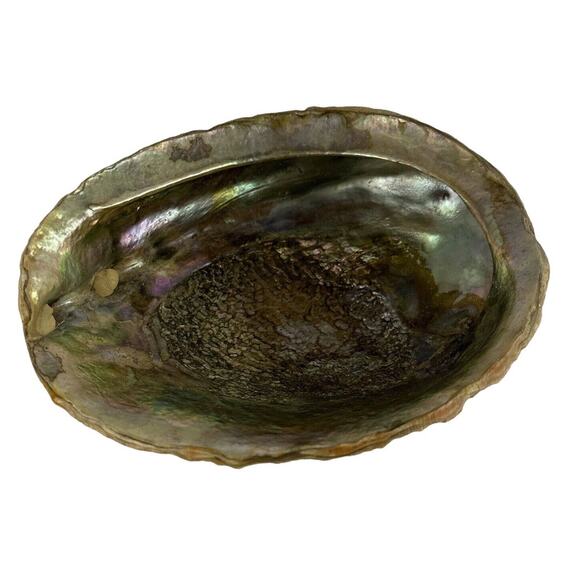 Vintage MCM Large Abalone Shell Footed Bowl Dish Smudge Stick Candy Trinket - Picture 1 of 8